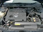 Used 2005 NISSAN TEANA BF50620 for Sale Image 28