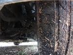 Used 1999 TOYOTA PROGRES BF52904 for Sale Image 14
