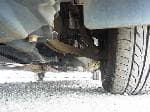 Used 2003 HONDA ACCORD BF54453 for Sale Image 14