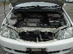 Used 1999 TOYOTA GAIA BF57858 for Sale Image 30