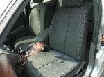 Used 2003 NISSAN TEANA BF59494 for Sale Image 18