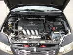 Used 2001 TOYOTA COROLLA FIELDER BF59537 for Sale Image 28