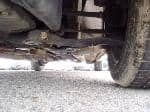 Used 1999 TOYOTA VITZ BF59986 for Sale Image 14