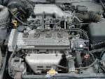 Used 1999 TOYOTA COROLLA TOURING WAGON BF61044 for Sale Image 28