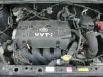 Used 2002 TOYOTA VITZ BF61377 for Sale Image 28