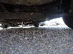 Used 2003 NISSAN MARCH BF61778 for Sale Image 16