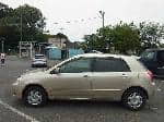 Used 2003 TOYOTA ALLEX BF62809 for Sale Image 2
