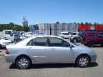 Used 2003 TOYOTA COROLLA SEDAN BF63550 for Sale Image 6