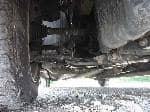 Used 2005 TOYOTA PORTE BF63851 for Sale Image 13