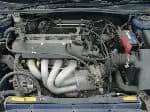 Used 1999 TOYOTA VISTA ARDEO BF63261 for Sale Image 28