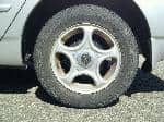 Used 2001 TOYOTA COROLLA FIELDER BF64684 for Sale Image 10
