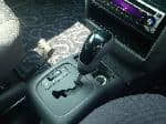 Used 2000 MERCEDES-BENZ A-CLASS BF64671 for Sale Image 25