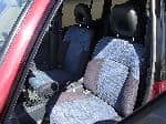 Used 1995 TOYOTA RAV4 BF65579 for Sale Image 18