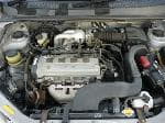 Used 1999 TOYOTA RAUM BF66026 for Sale Image 29