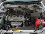 Used 1998 TOYOTA COROLLA SEDAN BF65862 for Sale Image 28