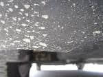 Used 2003 TOYOTA IST BF66624 for Sale Image 13