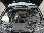 Used 1999 BMW 3 SERIES BF66686 for Sale Image 28