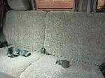 Used 1997 TOYOTA LITEACE NOAH BF66647 for Sale Image 20