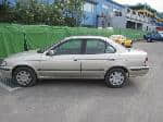 Used 2001 NISSAN SUNNY BF67249 for Sale Image 2