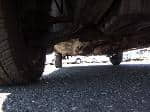 Used 2001 SUZUKI SWIFT BF67566 for Sale Image 13
