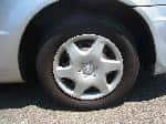 Used 2001 MAZDA FAMILIA S-WAGON BF67924 for Sale Image 12