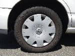 Used 2004 NISSAN WINGROAD BF68314 for Sale Image 11