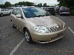 Used 2001 TOYOTA ALLEX BF68241 for Sale Image 7