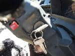 Used 1983 ISUZU ELF TRUCK BF68531 for Sale Image 25