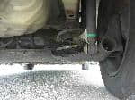 Used 2003 NISSAN MARCH BF68685 for Sale Image 16