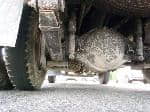 Used 1983 MITSUBISHI CANTER BF69177 for Sale Image 15
