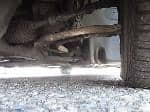 Used 1999 BMW 3 SERIES BF69355 for Sale Image 14