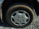 Used 1997 TOYOTA TOWNACE NOAH BF69406 for Sale Image 12