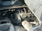 Used 1996 SUZUKI CARRY TRUCK BF69503 for Sale Image 28