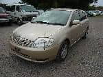 Used 2001 TOYOTA ALLEX BF69775 for Sale Image 1