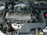 Used 1999 TOYOTA RAUM BF69977 for Sale Image 28