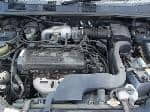 Used 1998 TOYOTA RAUM BF70318 for Sale Image 27