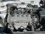 Used 1996 TOYOTA COROLLA SEDAN BF70495 for Sale Image 28