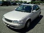 Used 1999 TOYOTA COROLLA SEDAN BF70514 for Sale Image 1