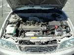 Used 1999 TOYOTA COROLLA SEDAN BF70514 for Sale Image 28