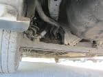 Used 2001 NISSAN SUNNY BF70568 for Sale Image 15