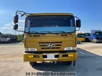 2001 HYUNDAI HYUNDAI OTHERS HP1230/M32