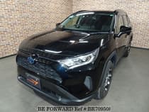 Used 2020 TOYOTA RAV4 BR709508 for Sale