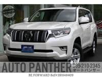 2023 TOYOTA LAND CRUISER PRADO