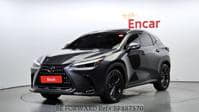 2024 LEXUS NX / SUN ROOF,SMART KEY,BACK CAMERA