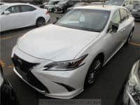 2019 LEXUS ES ES300HLTRD