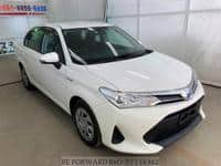 2019 TOYOTA COROLLA AXIO