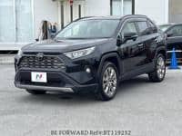 2019 TOYOTA RAV4 GZ