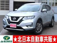 2019 NISSAN X-TRAIL