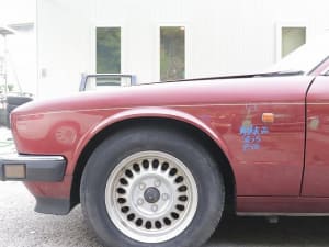 Left Fender Panel JAGUAR Jaguar xj series 1991 E-JLG (PA108359409) 