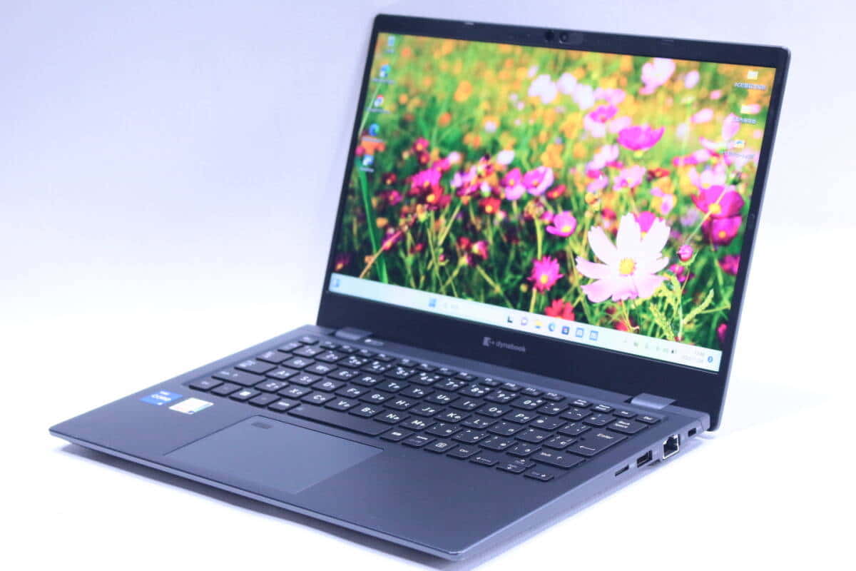 New]TOSHIBA Dynabook B65/H Laptop Celeron-3865U/4GB/500GB/DVD-SM